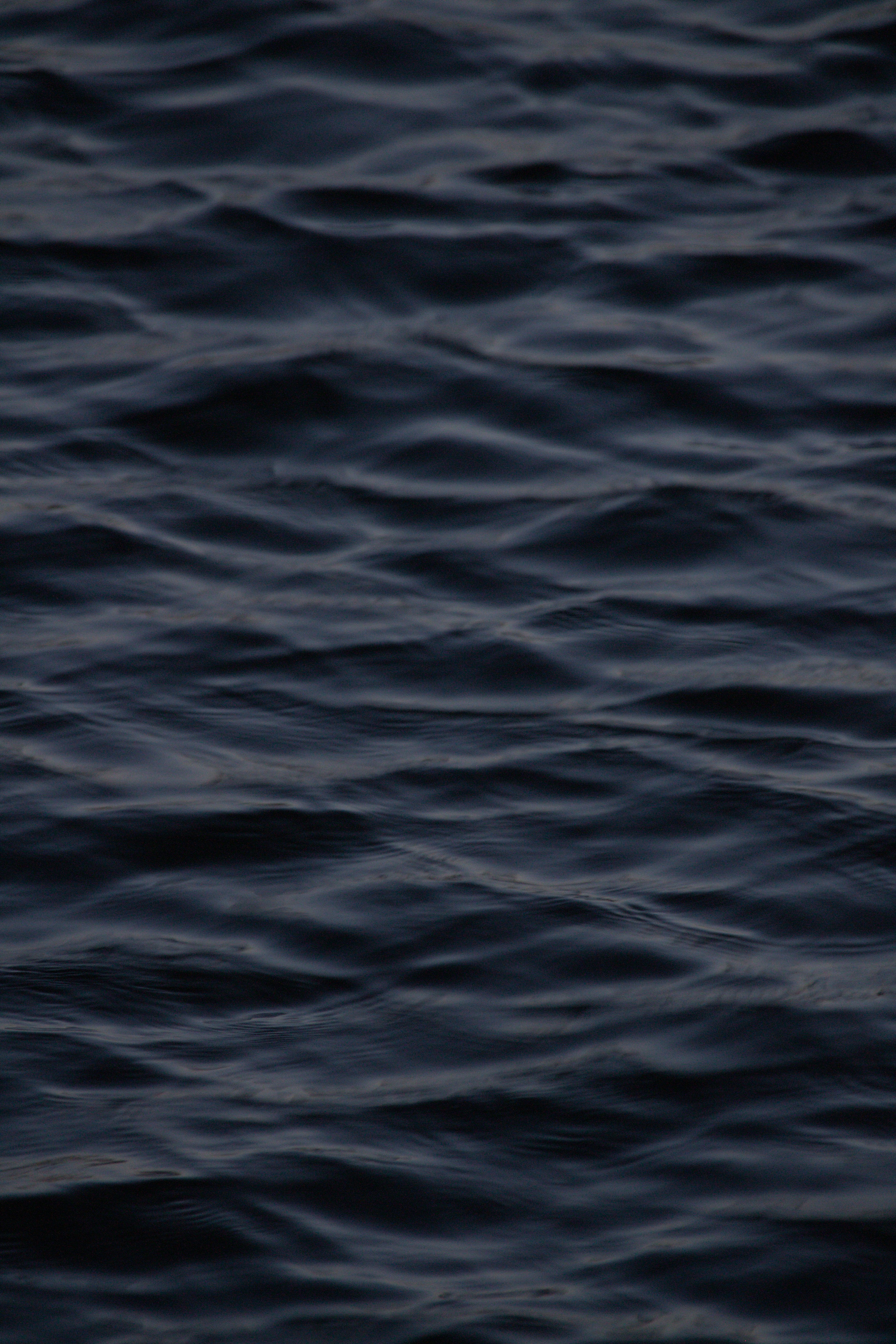 Photo by klarin_steffens