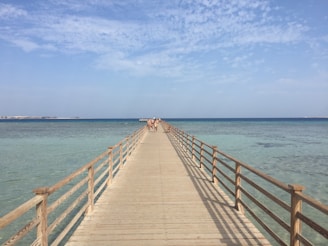 a long wooden pier stretches out into the ocean