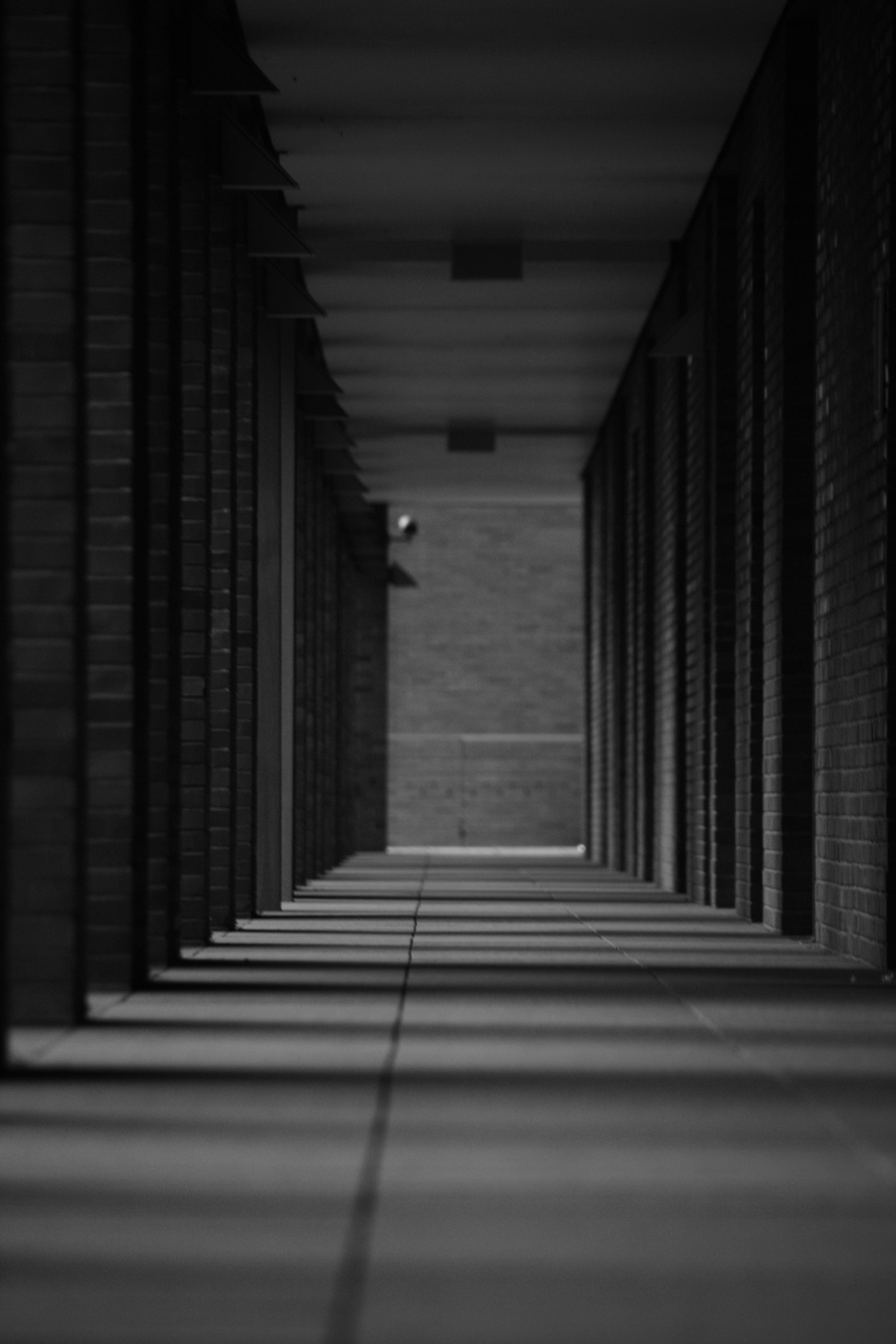 Photo by klarin_steffens