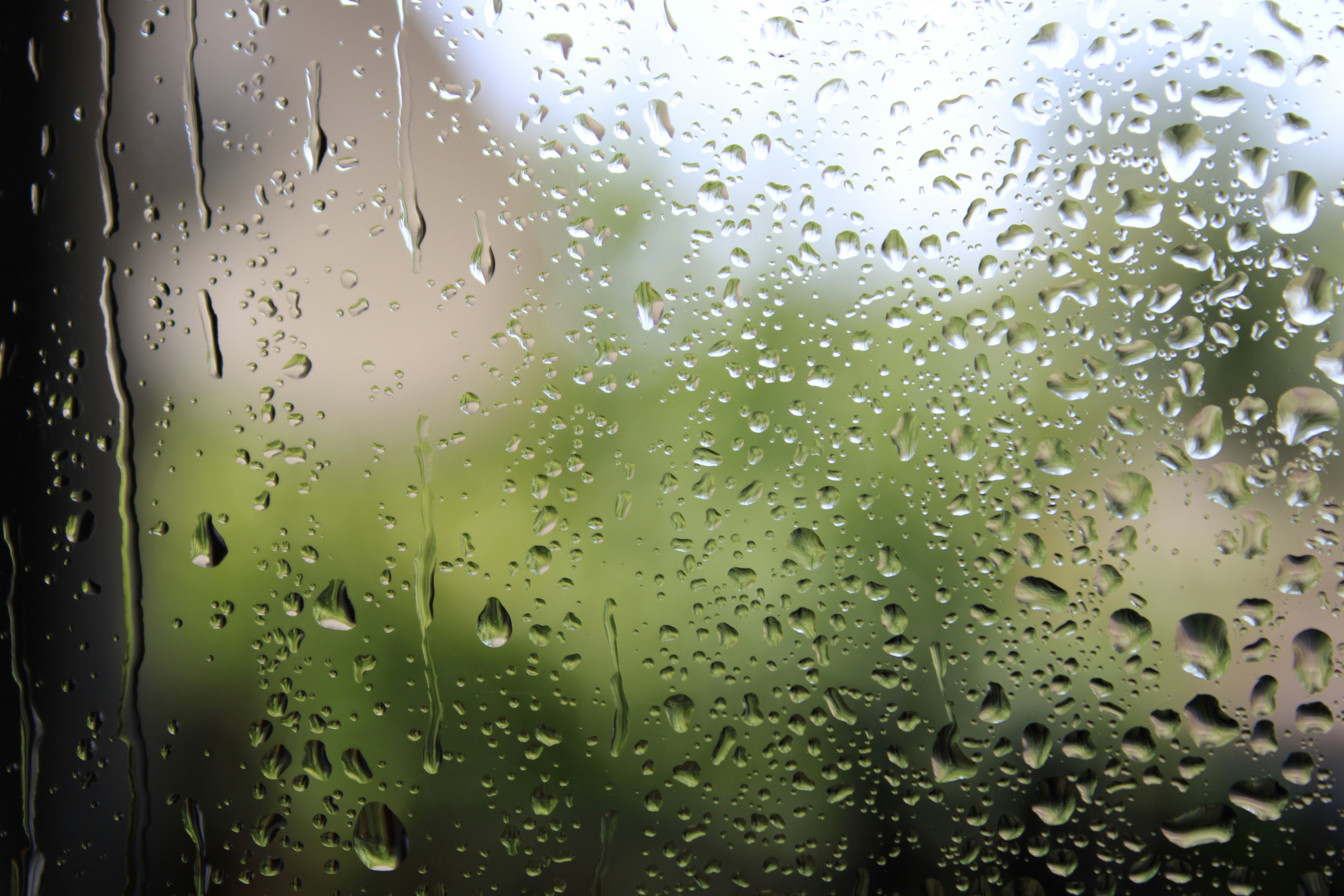 Photo by rashid_hamidov