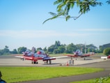 Several red and white small aircraft are parked on a tarmac surrounded by green grass and trees. The sky is clear with few clouds, and a branch with green leaves is visible in the foreground.