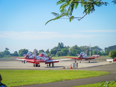 Several red and white small aircraft are parked on a tarmac surrounded by green grass and trees. The sky is clear with few clouds, and a branch with green leaves is visible in the foreground.