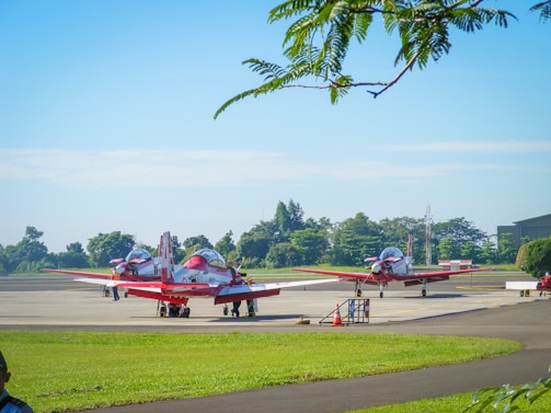 Several red and white small aircraft are parked on a tarmac surrounded by green grass and trees. The sky is clear with few clouds, and a branch with green leaves is visible in the foreground.