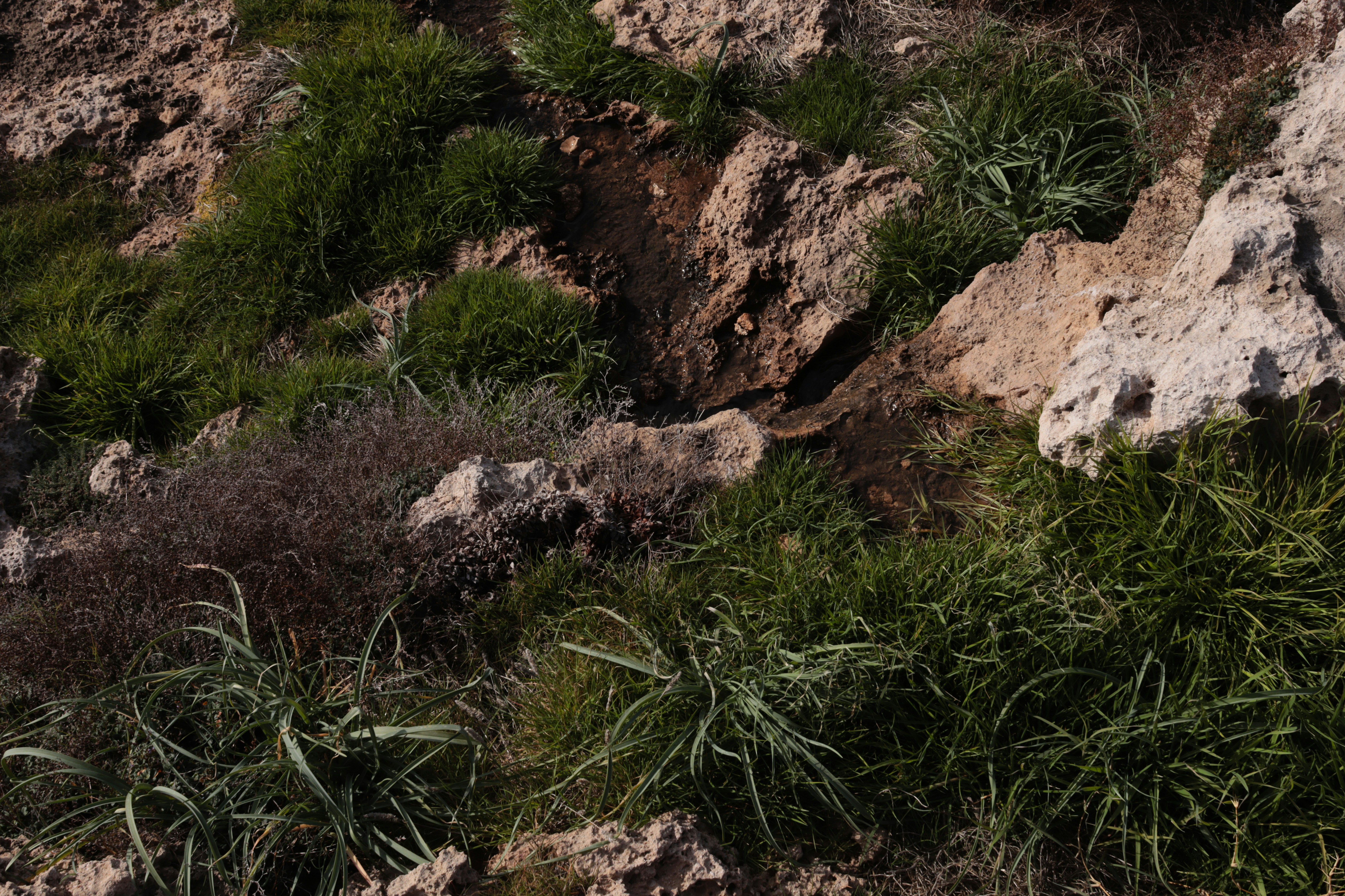 Twin Quakes Rattle Cyprus Coast, Prompting Rapid Seismological Response