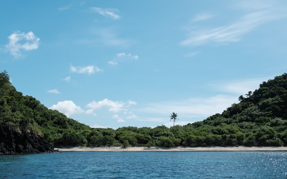 a body of water surrounded by lush green trees