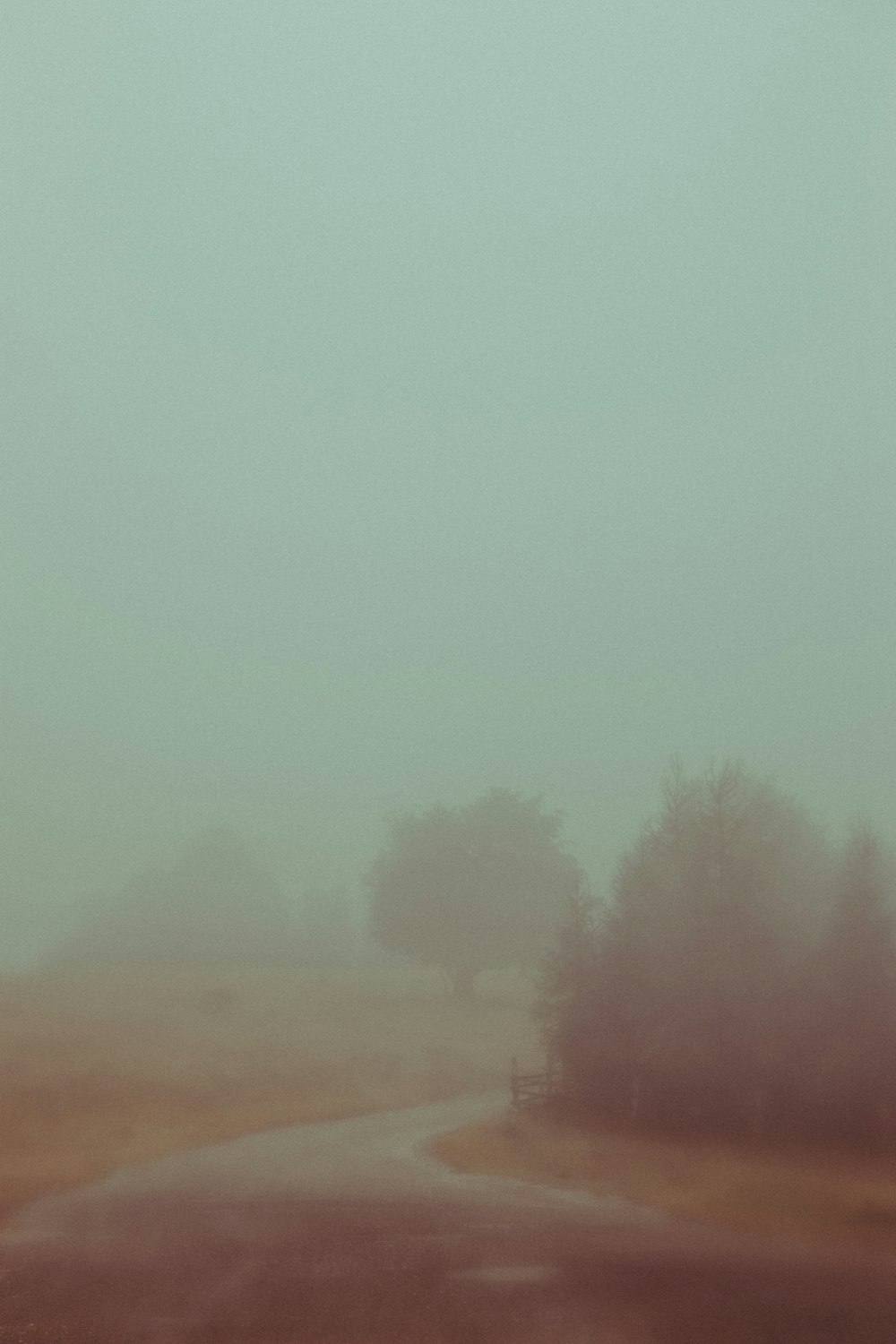 a foggy road with trees in the distance