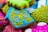 Brightly colored cookies with intricate frosting designs featuring swirls and patterns in blue, green, pink, and other vibrant hues. One notable cookie is shaped like a house with detailed window designs.