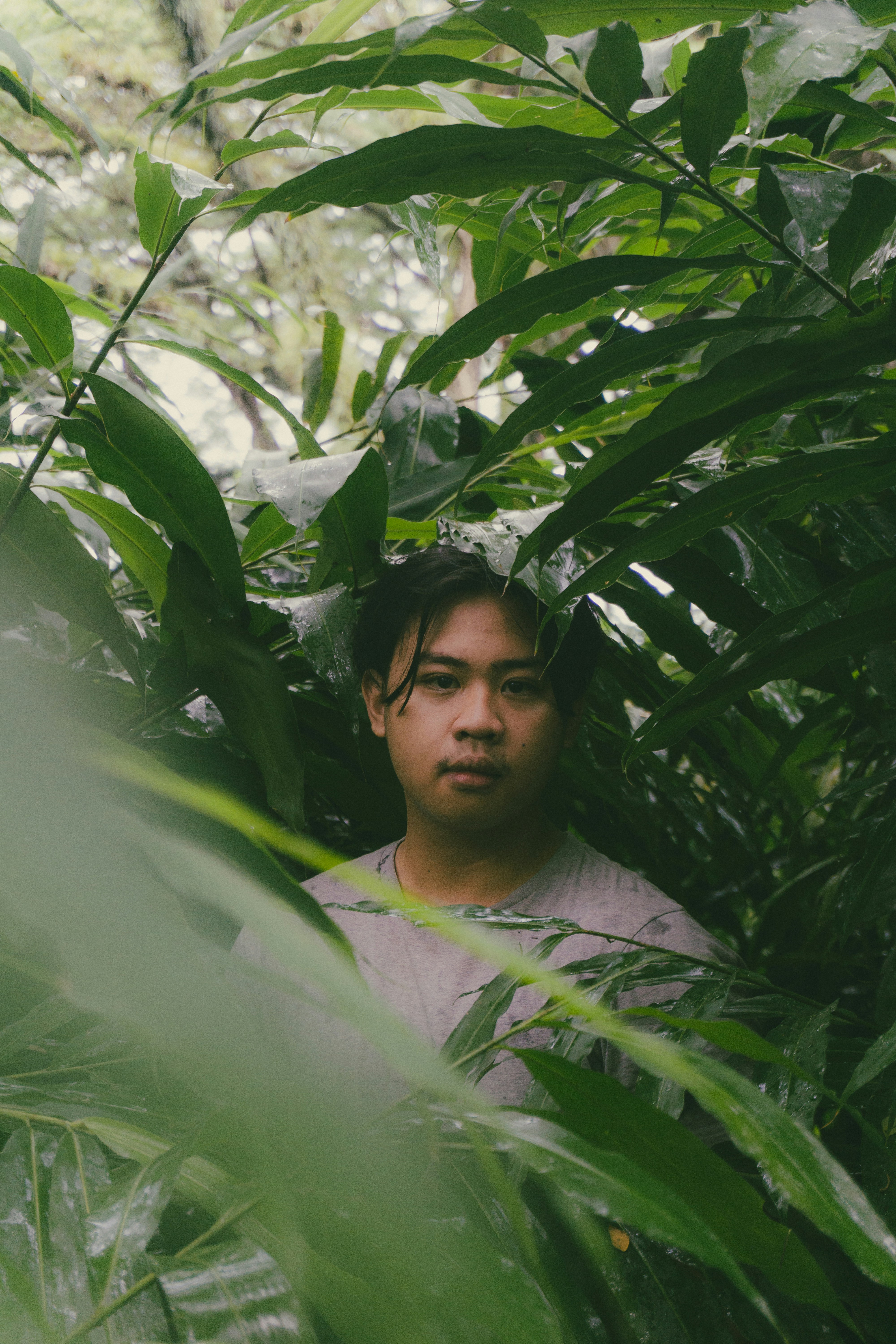 a man standing in the middle of a lush green forest