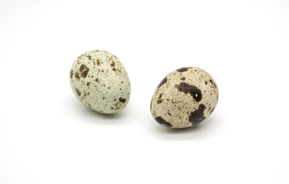 two speckled eggs on a white background