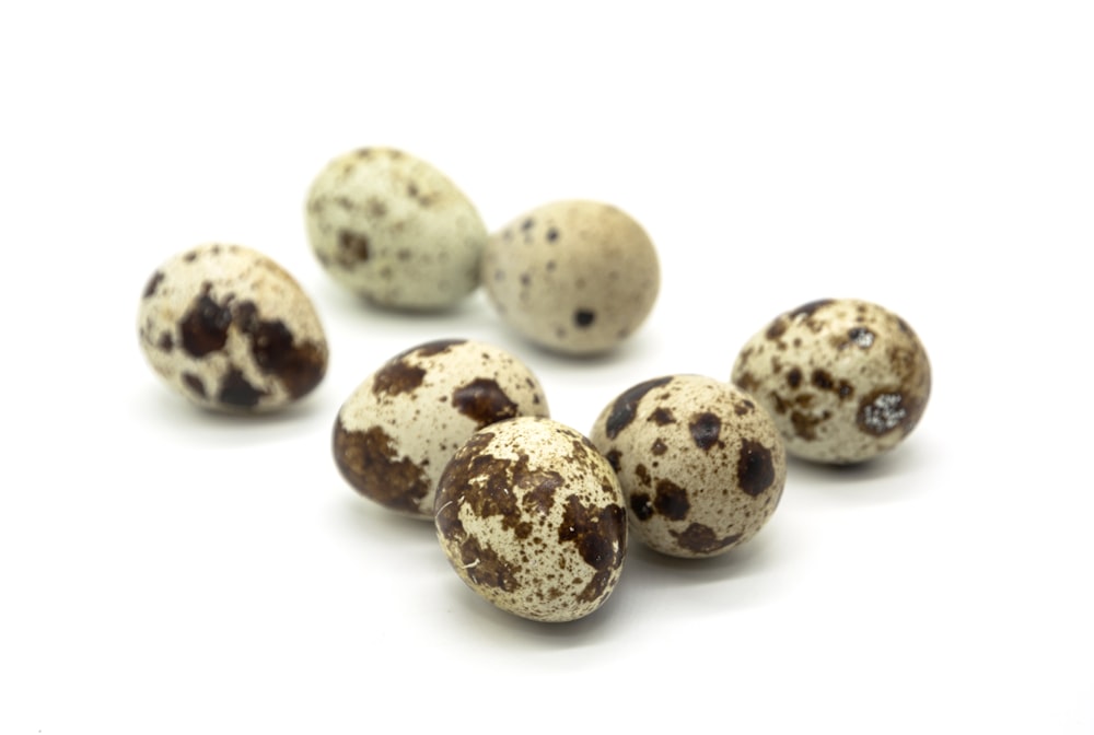 a group of speckled eggs sitting on top of each other