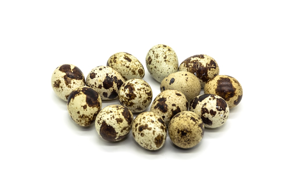 a pile of speckled eggs on a white background