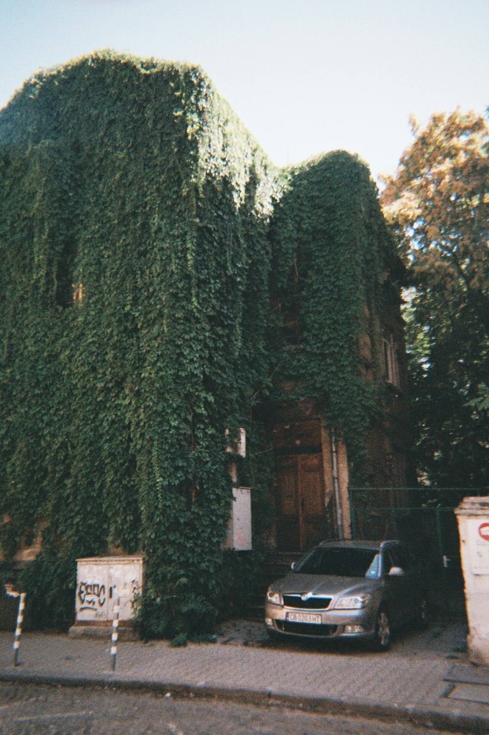 a car parked in front of a building covered in vines