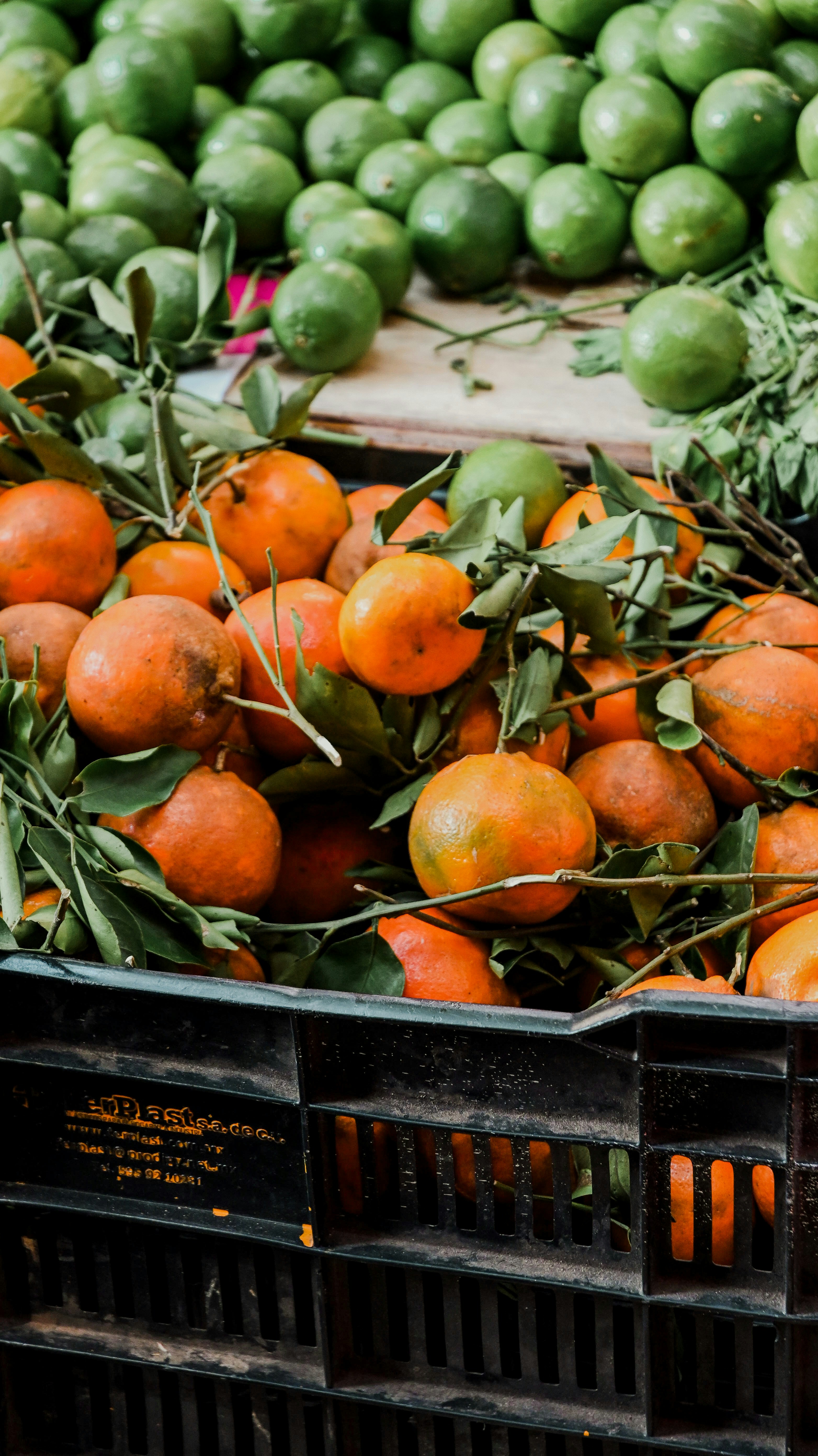 Photo by helloemilia