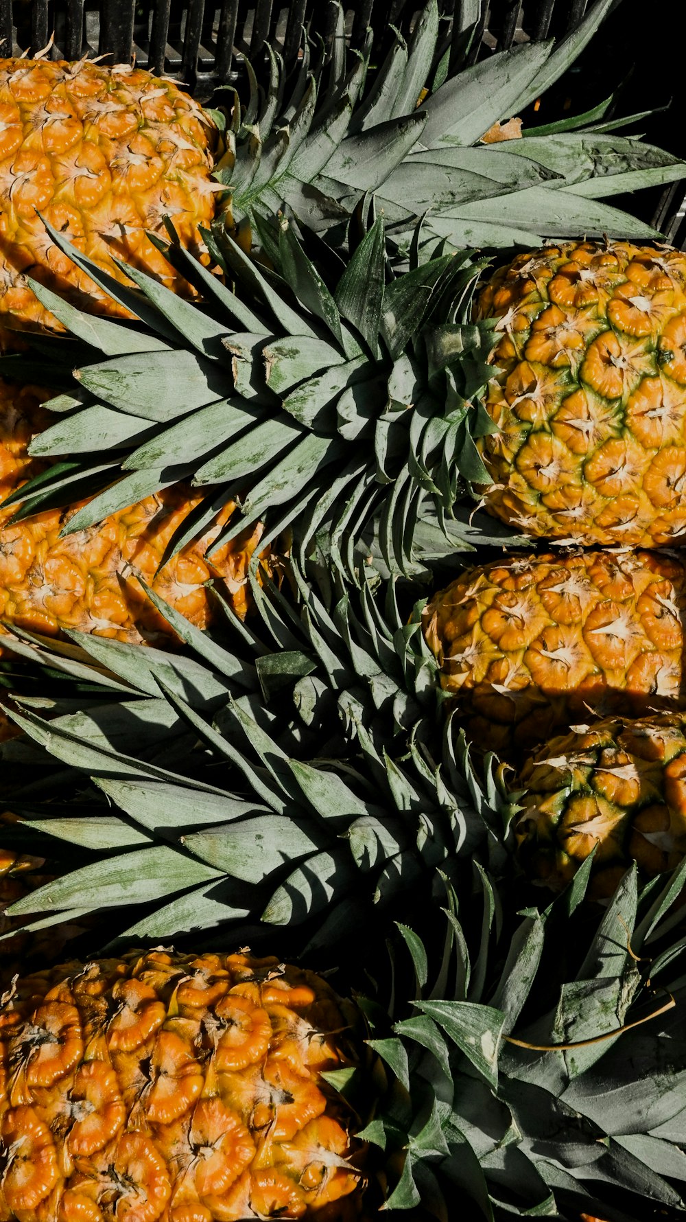 a pile of pineapples sitting next to each other