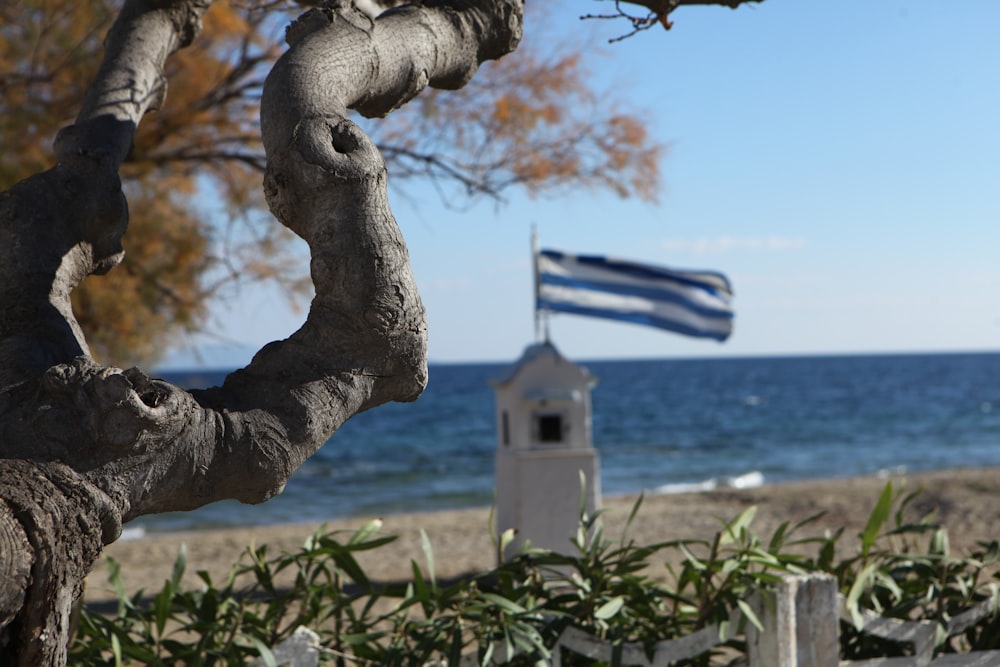 a tree branch with a greek flag in the background