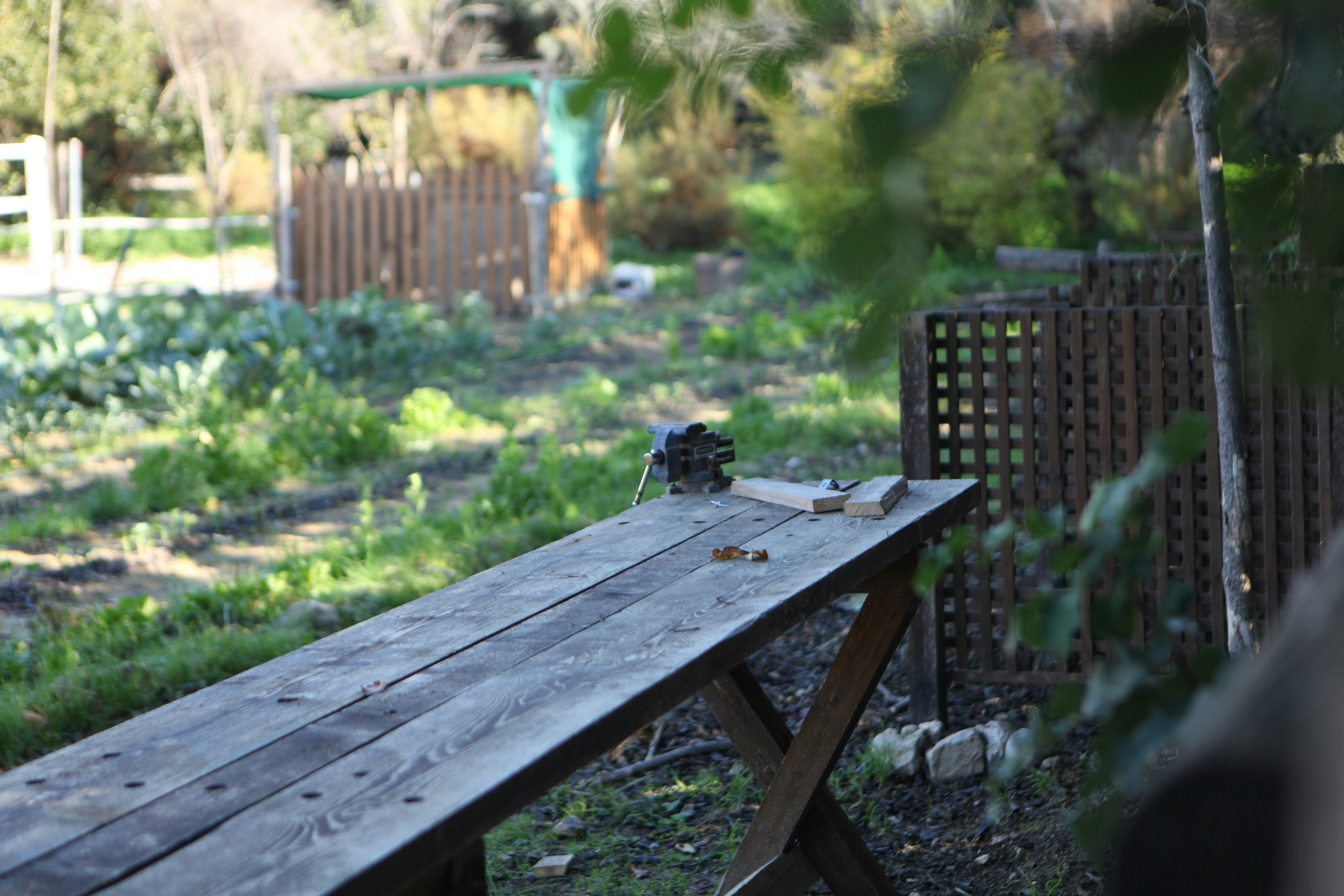 a picnic table in the middle of a garden