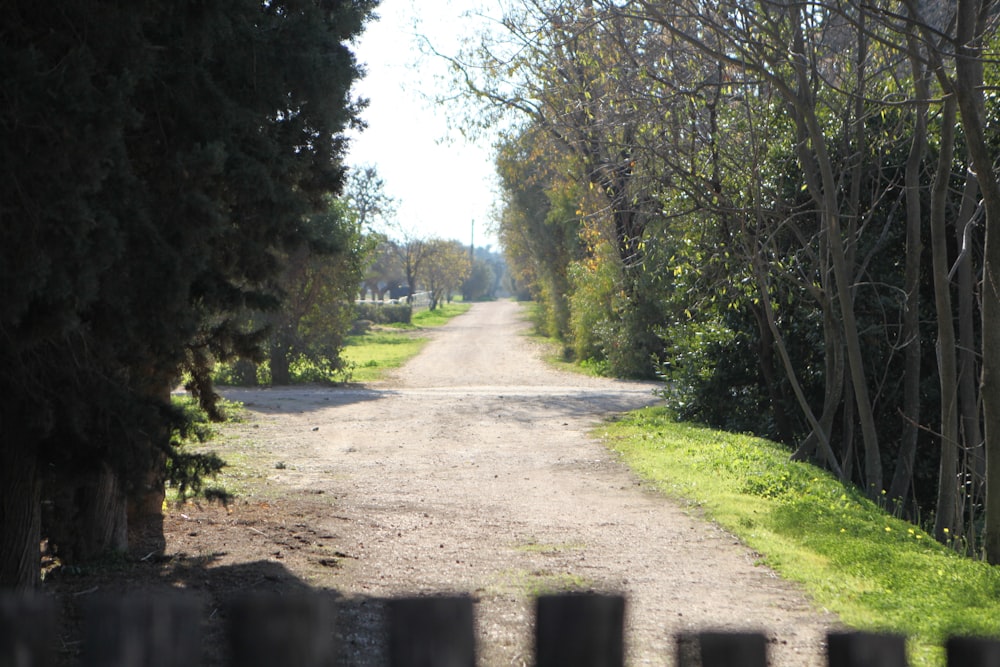 Un camino de tierra rodeado de árboles y hierba