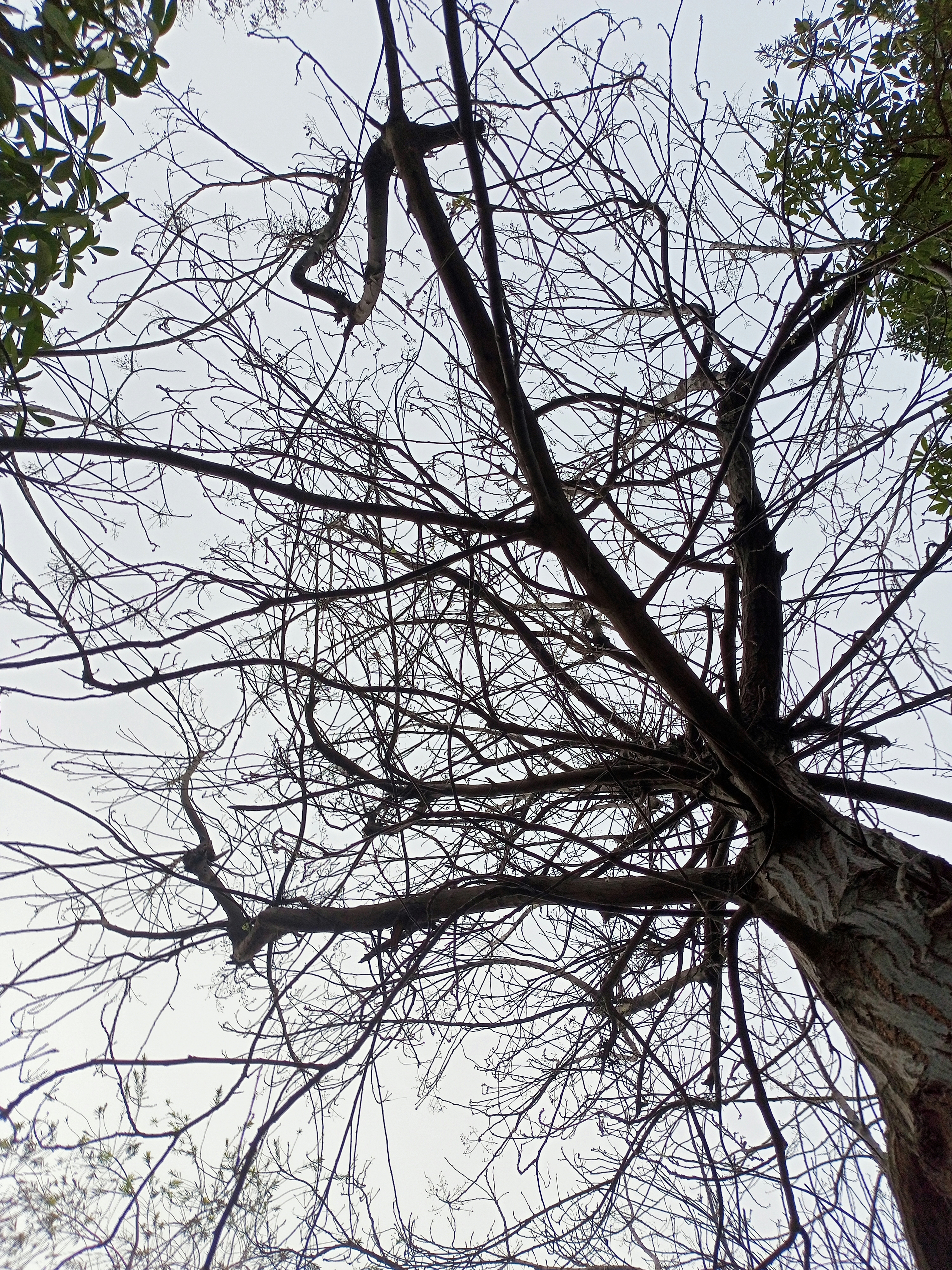 Photo by saqibiqbaldigital