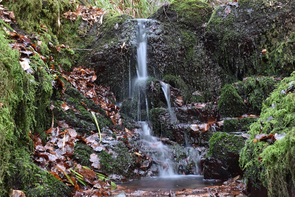 a small waterfall in the middle of a forest