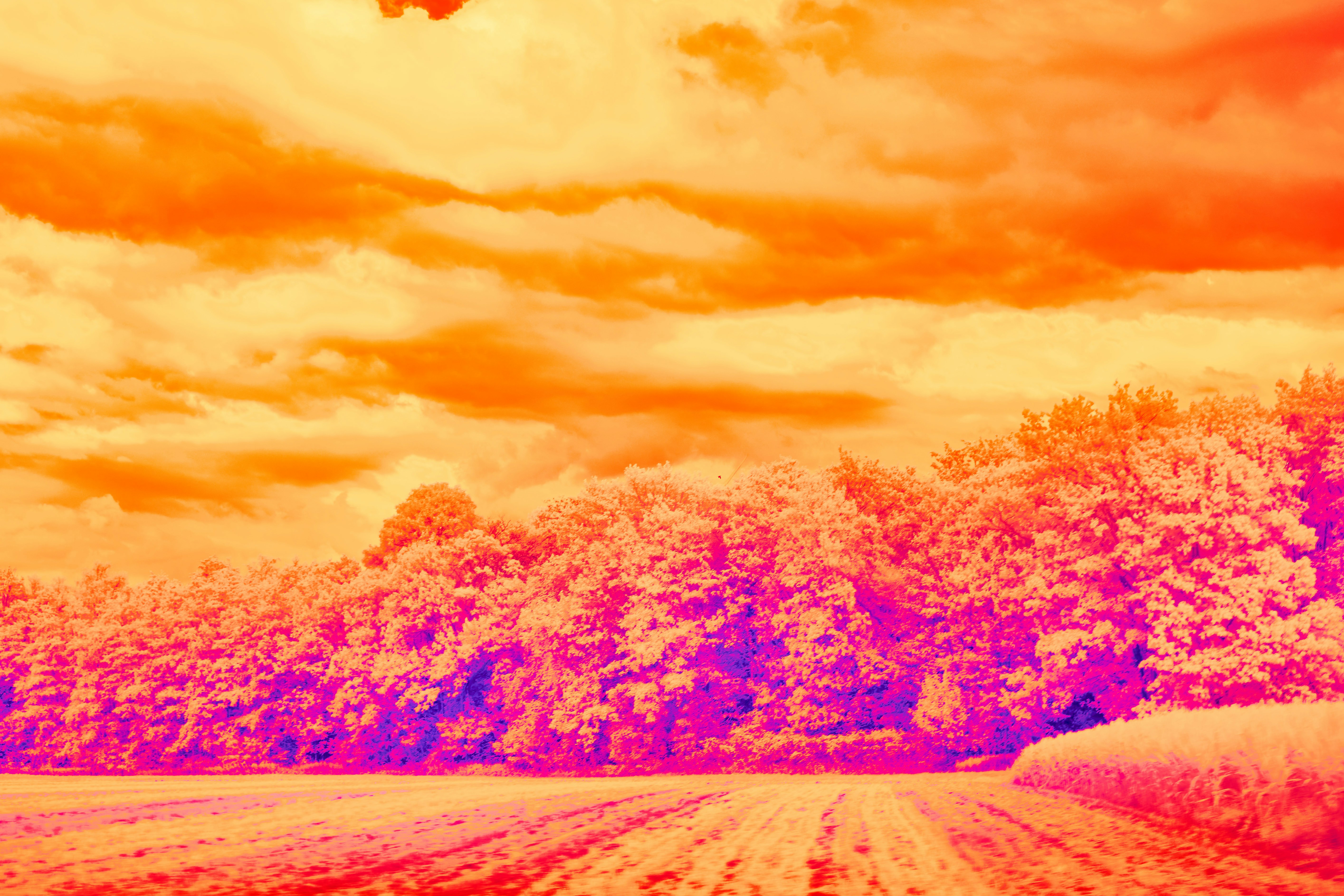 Photo by wolfgang_hasselmann