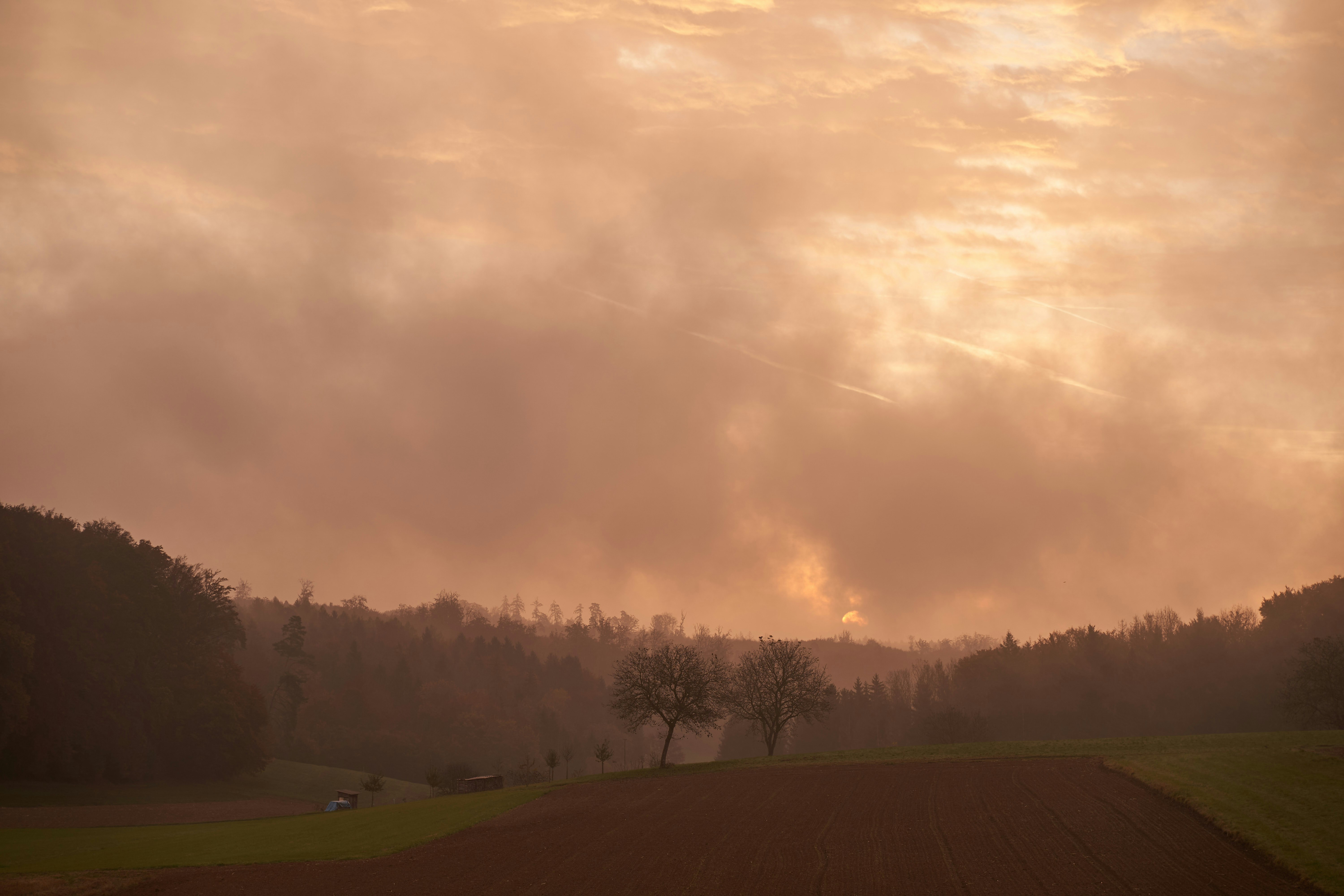 Photo by wolfgang_hasselmann