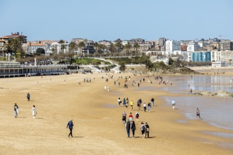 a group of people walking along a sandy beach