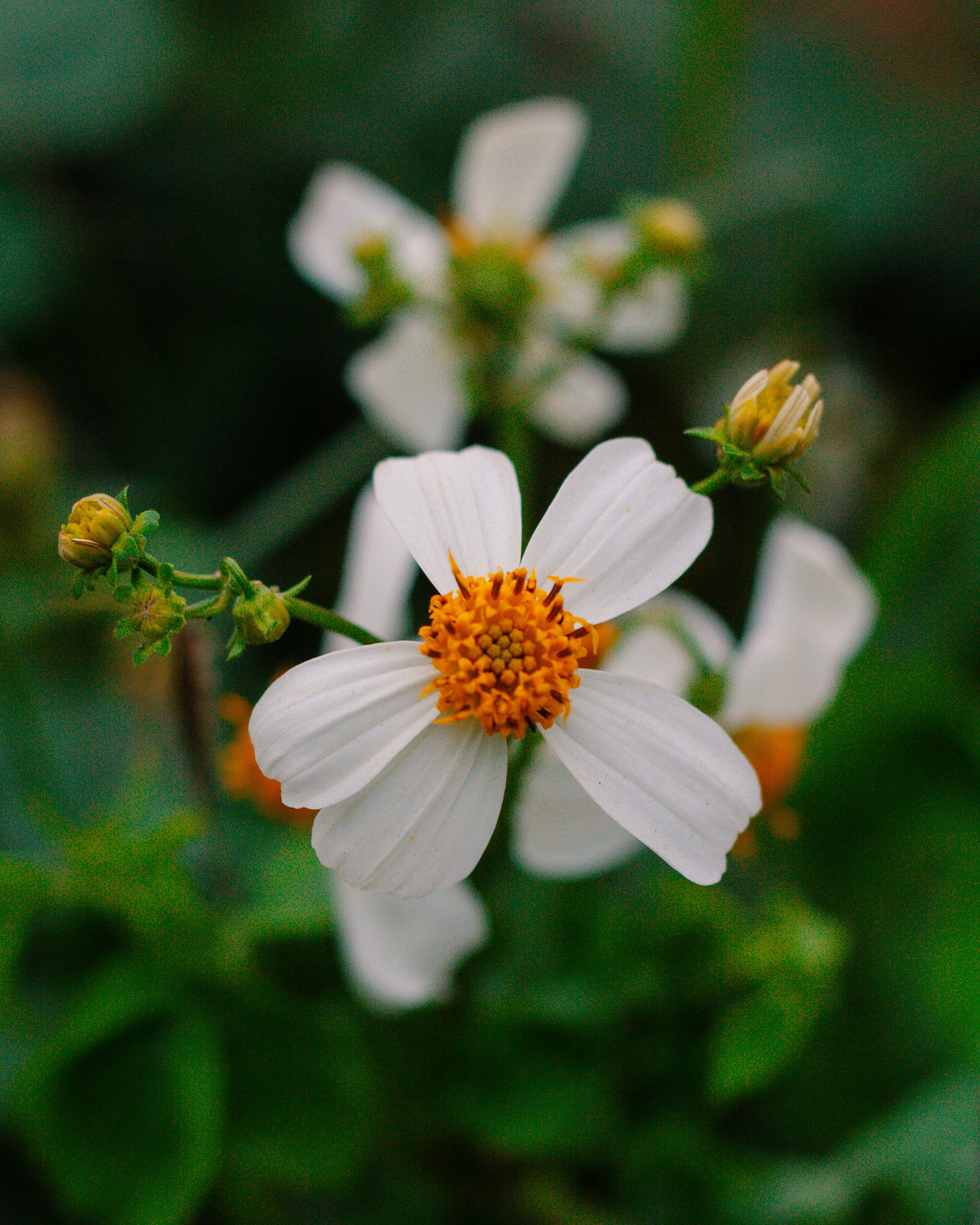 Photo by notoriousfan3012