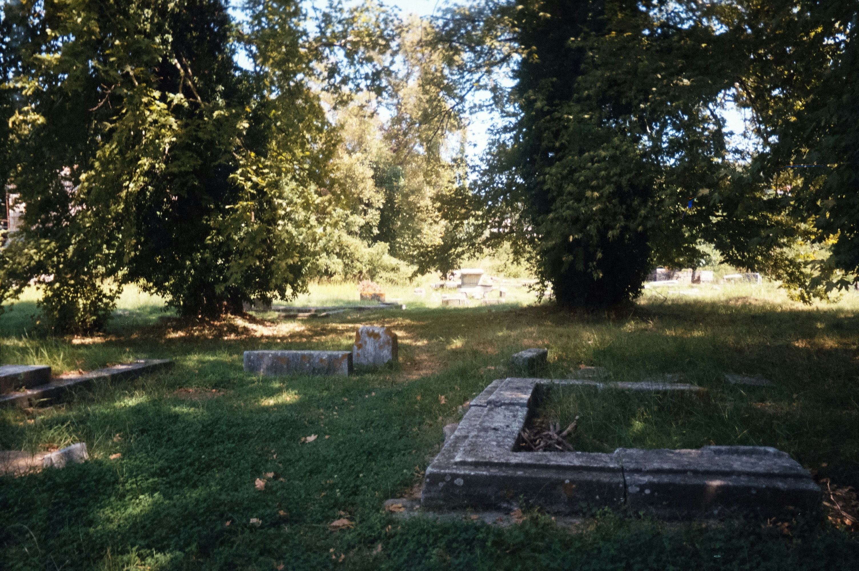 Photo by samkata_snimadosta