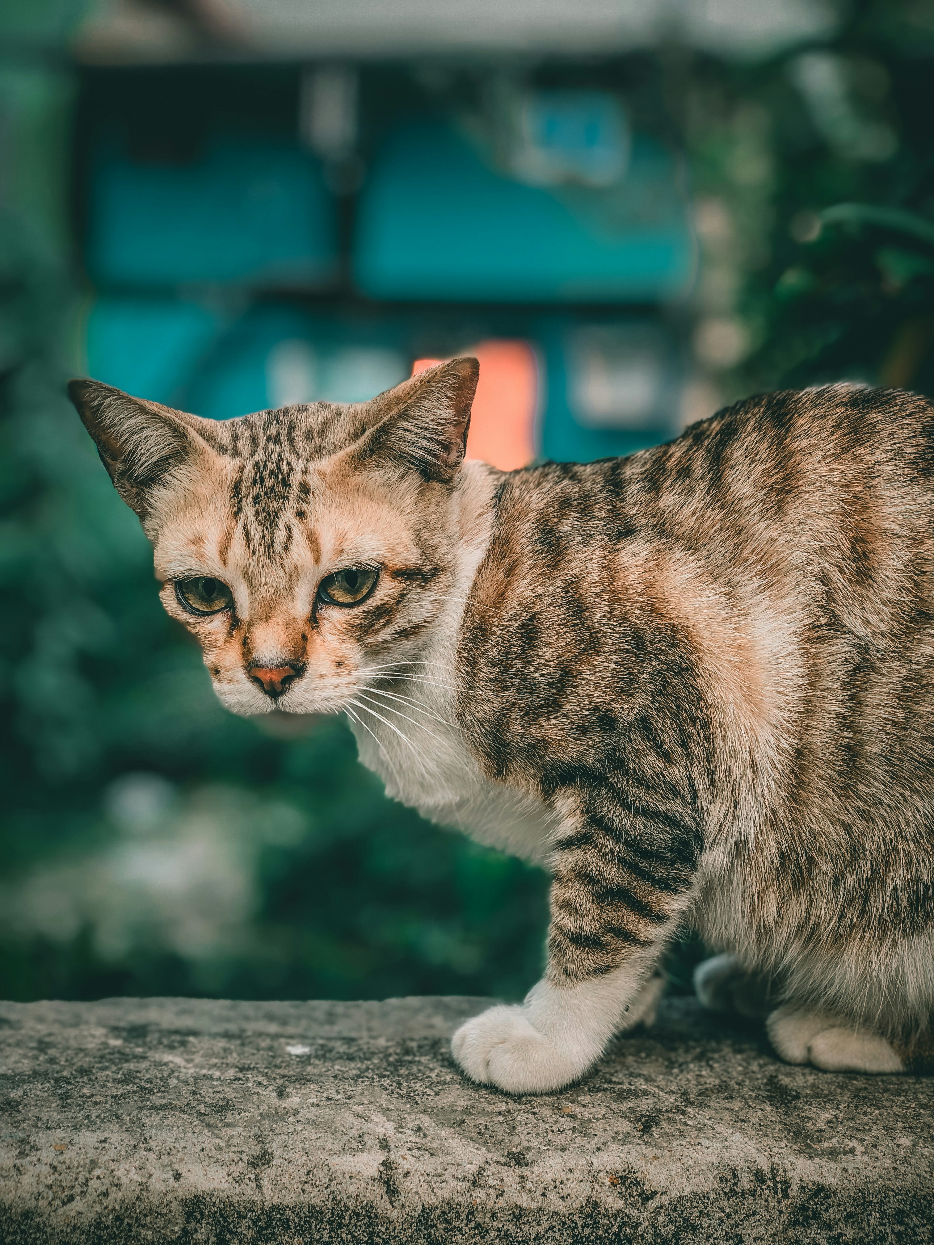 Photo by mahmudul_ashik