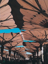 a bunch of umbrellas that are hanging in the air