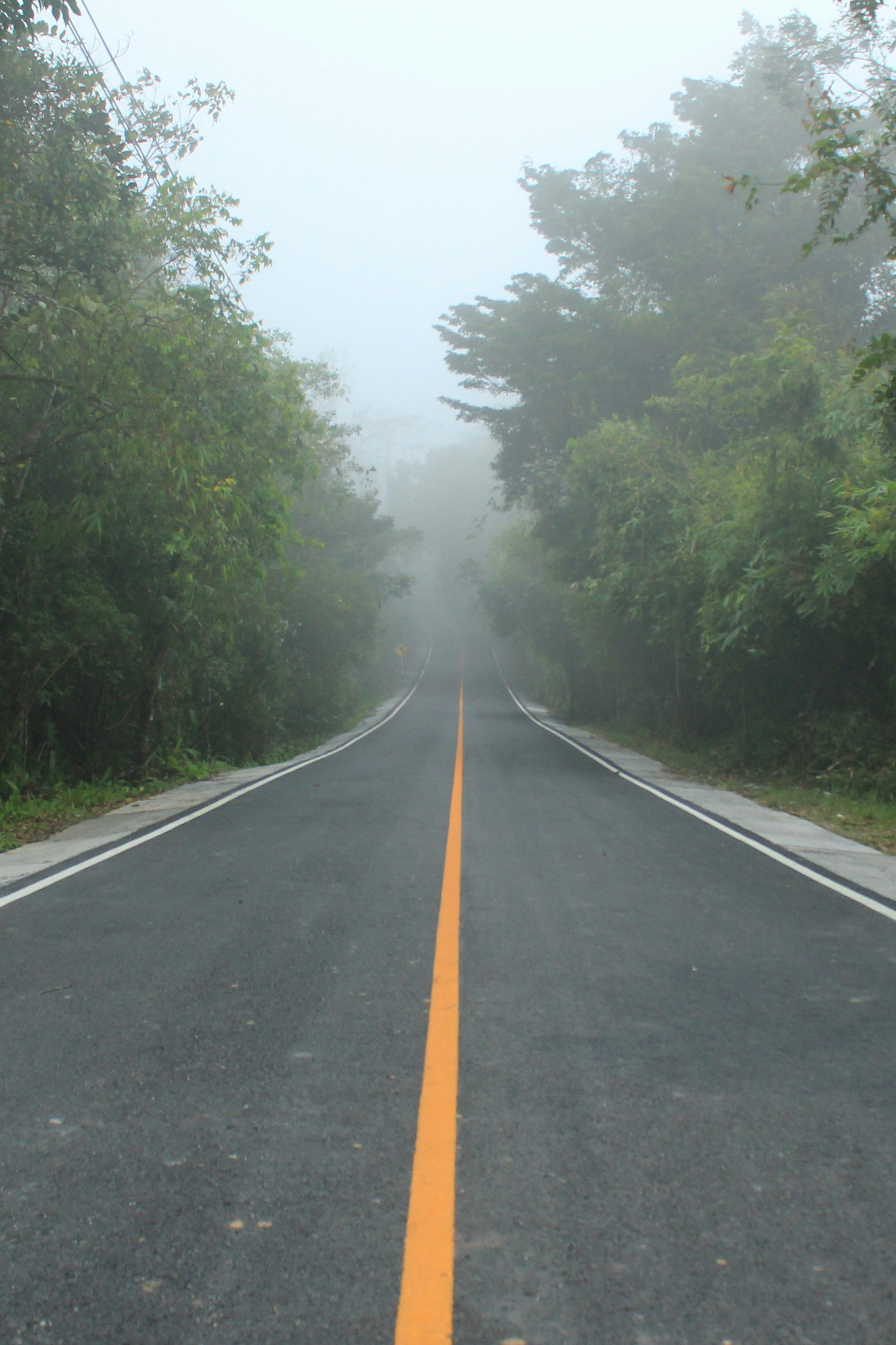 Photo by lunalated