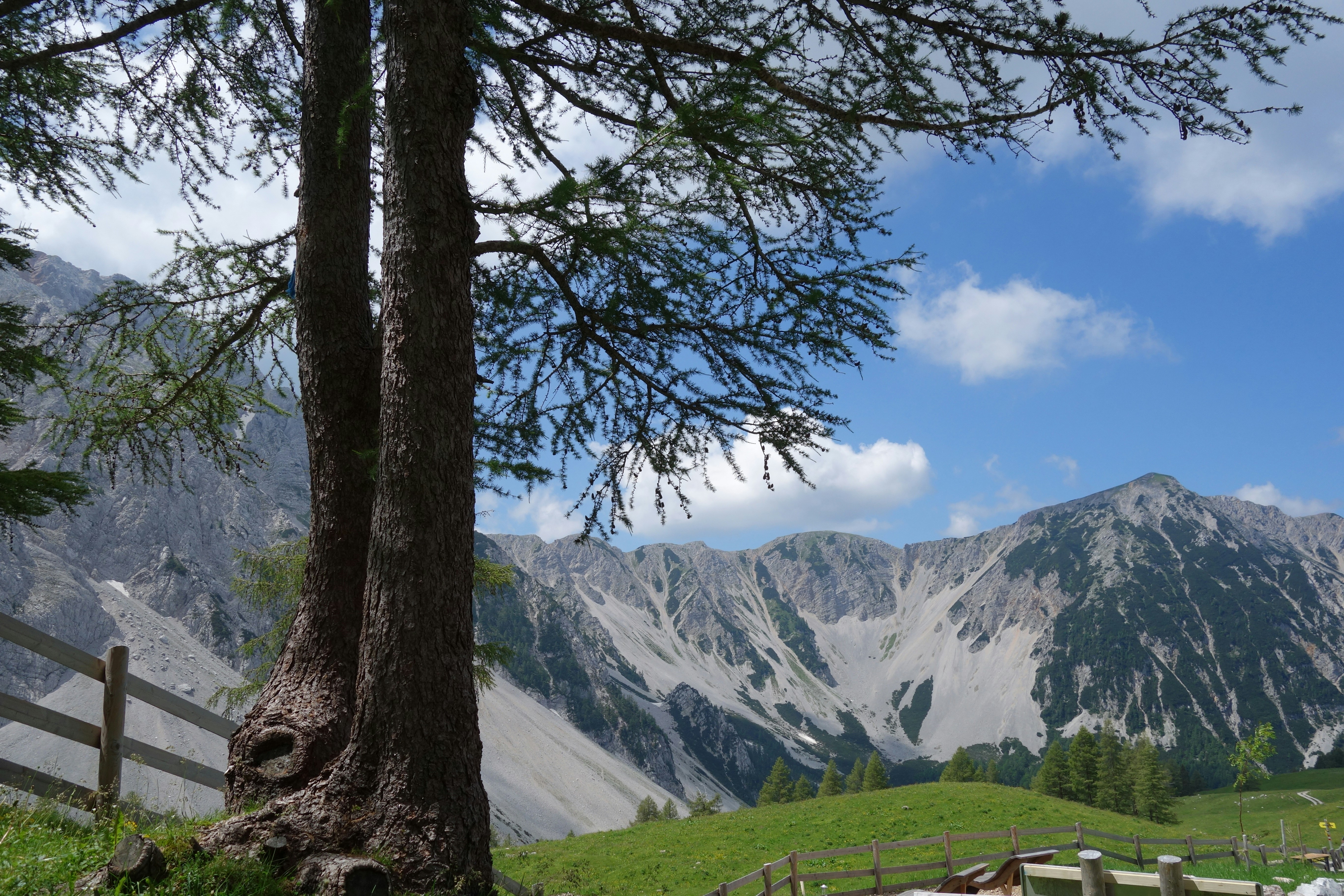 Photo by derwanderer