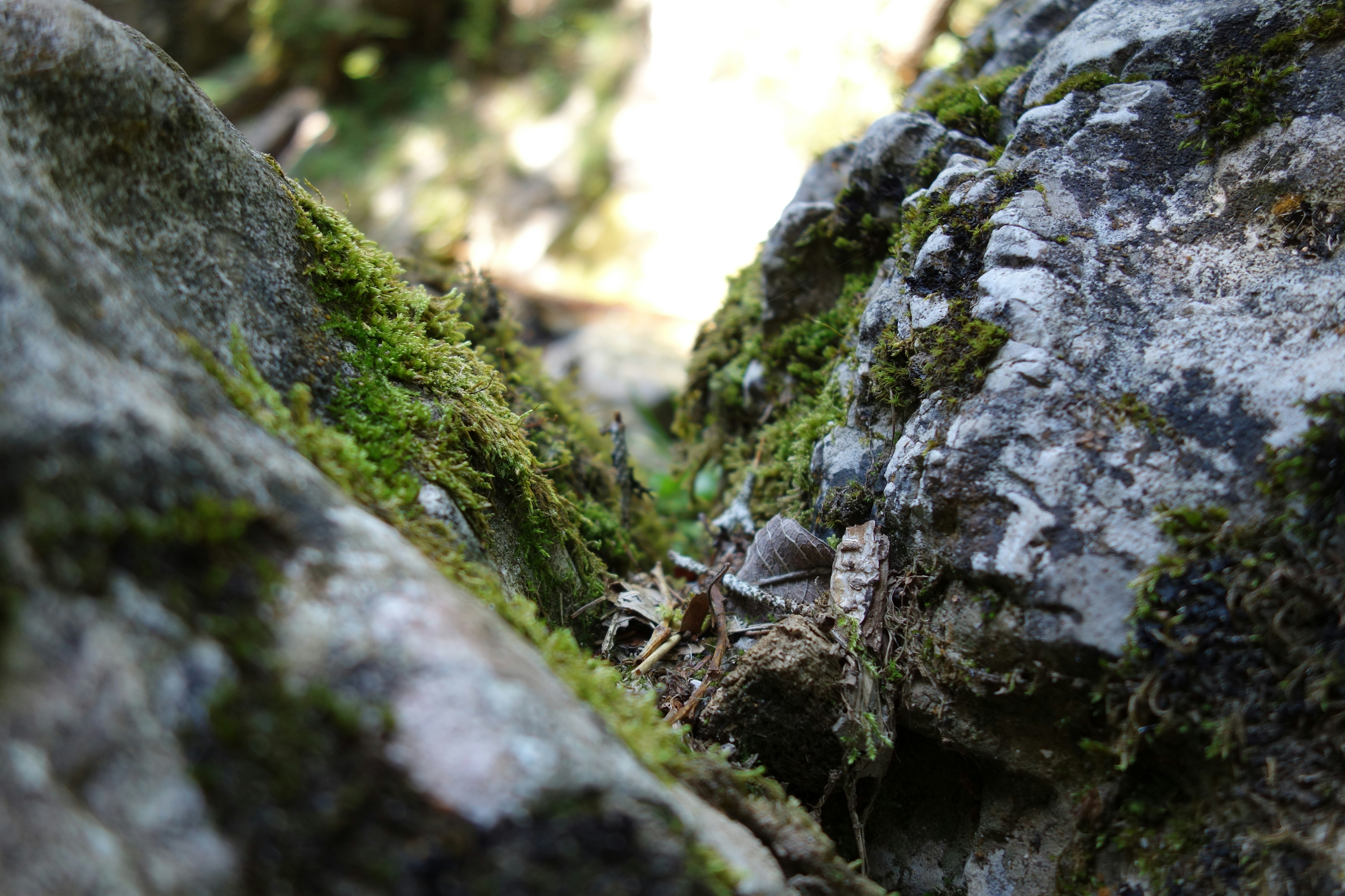 Photo by derwanderer