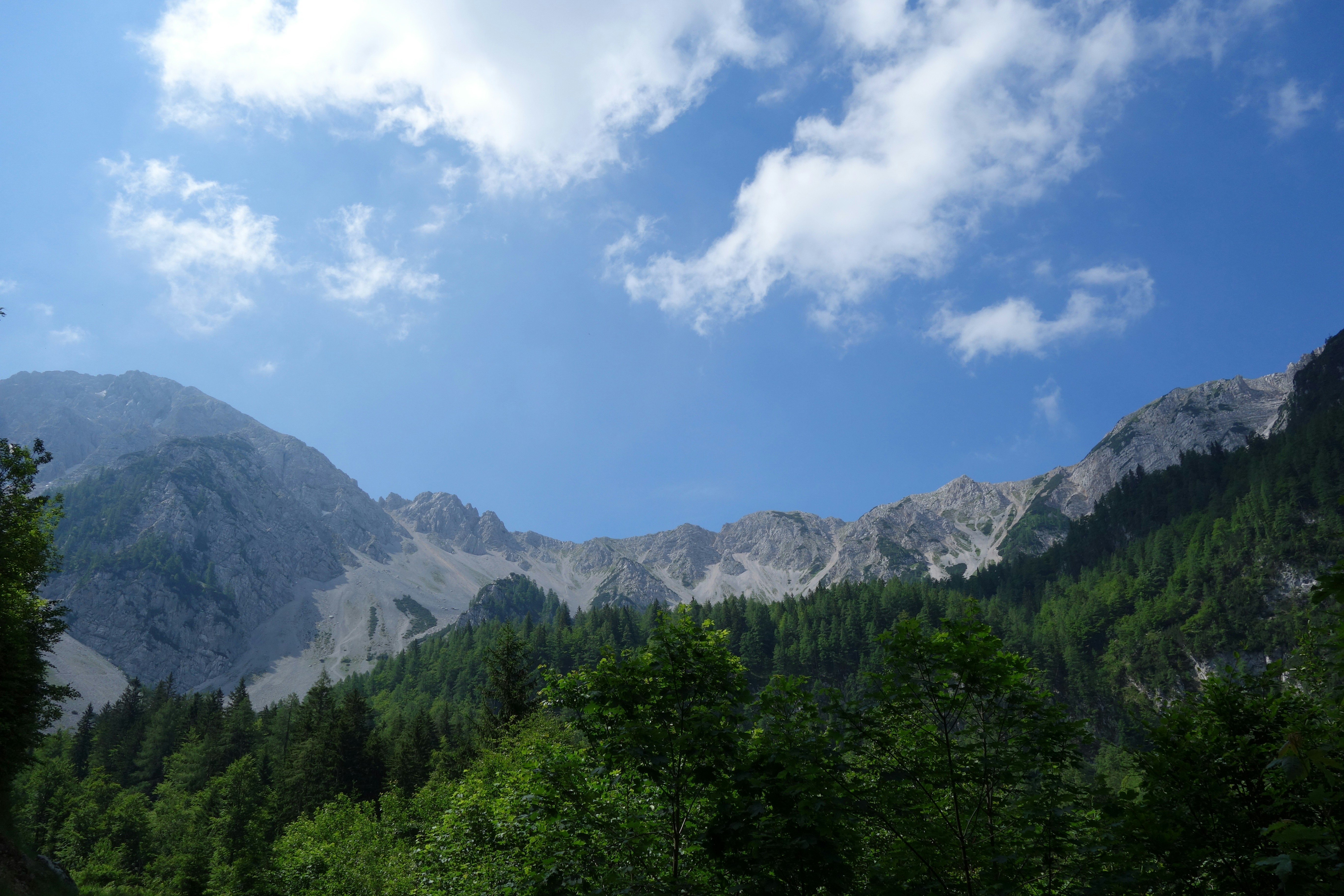 Photo by derwanderer