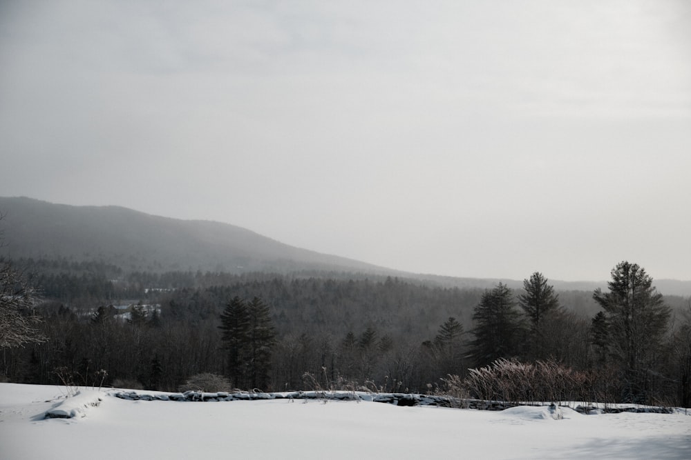 a snow covered field with a mountain in the background