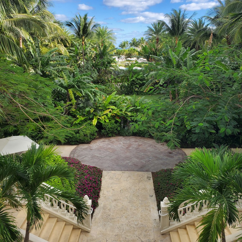 an aerial view of a tropical garden with palm trees
