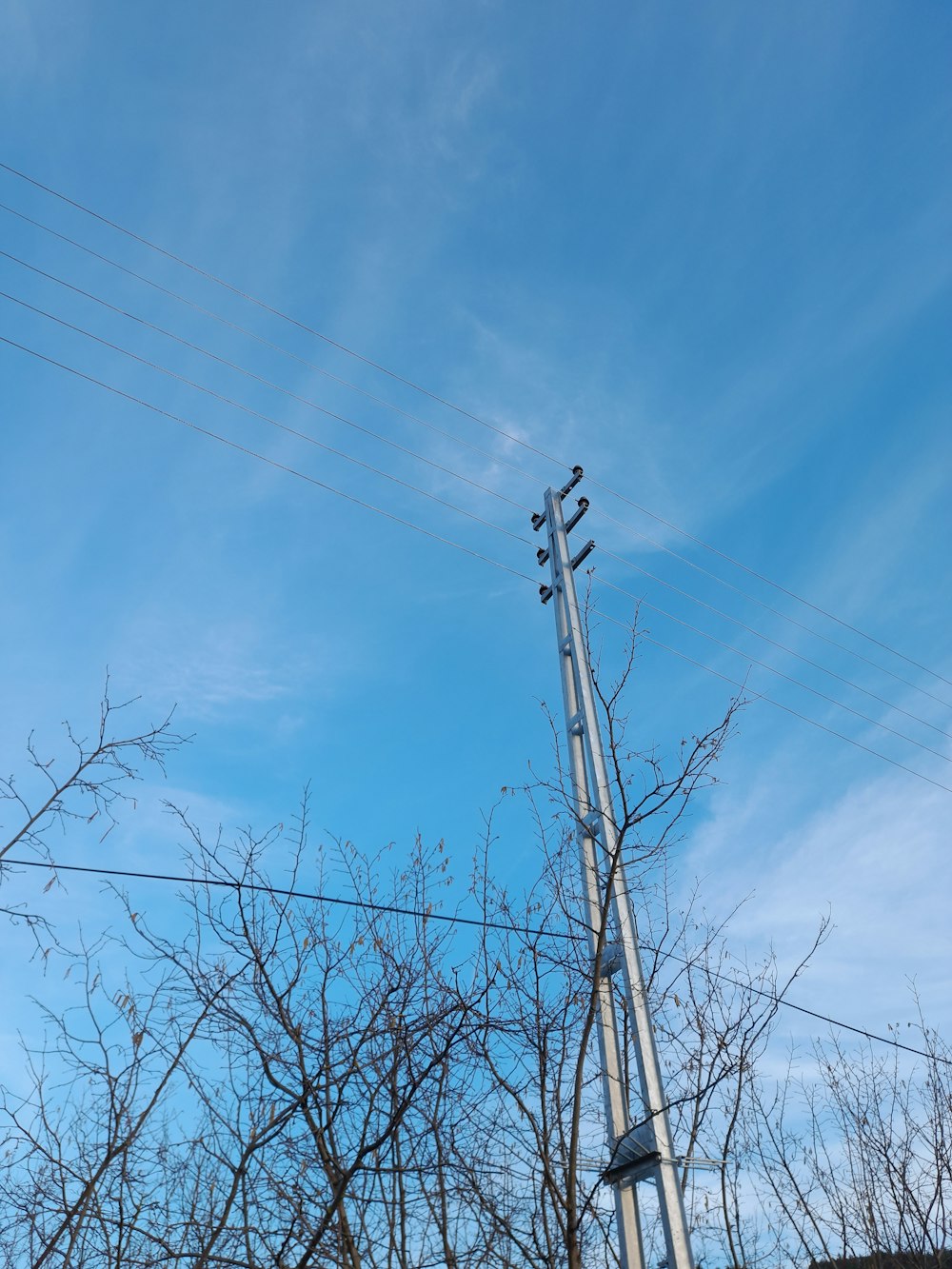 a tall metal pole sitting next to a bunch of trees