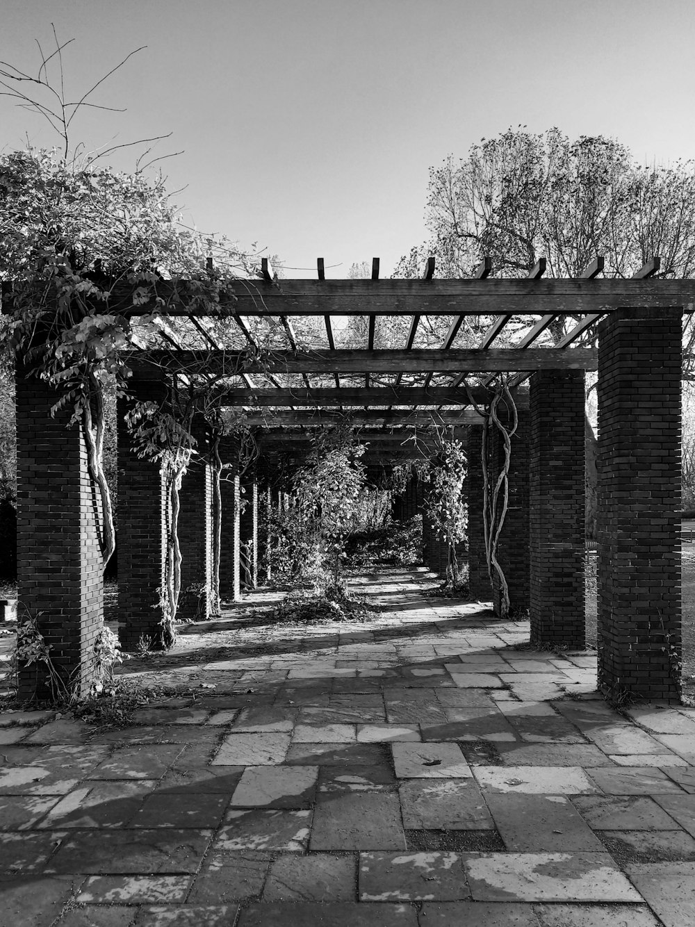 a black and white photo of a brick walkway