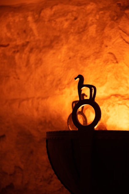 Ignite Your Purpose - Module 12 - Your Unique Myth
