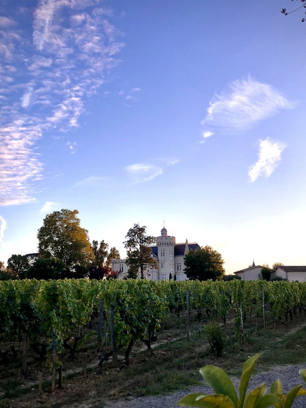 Explore Pessac's Authentic Cuisine: Local Dishes, Restaurants, and Recipes