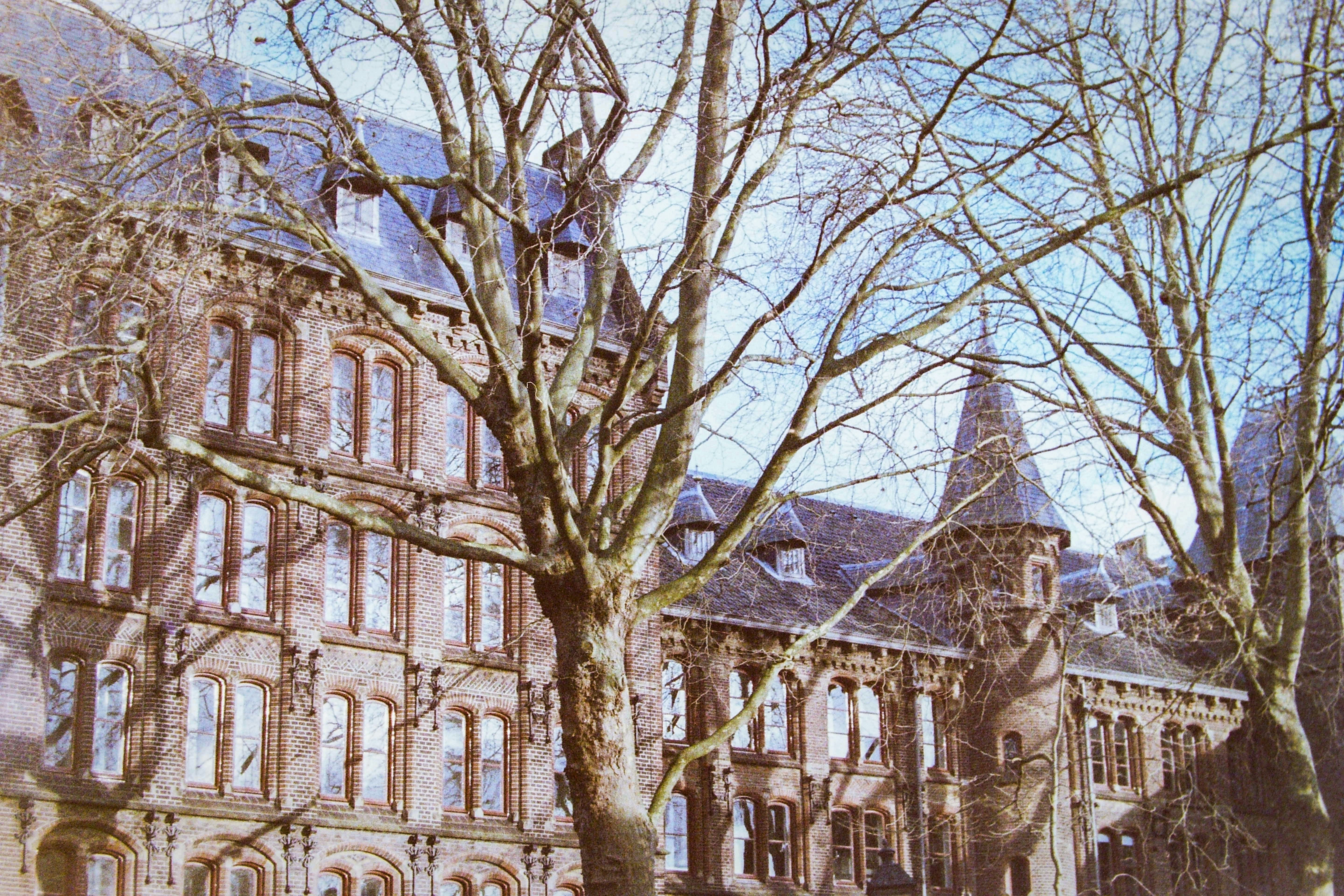 a large building with a clock tower next to a tree