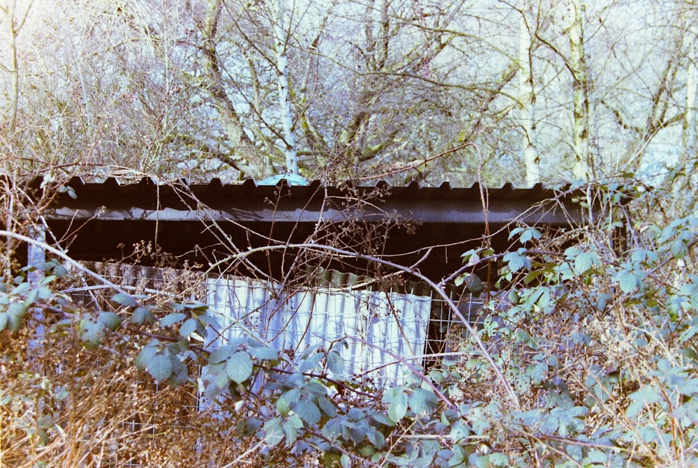 an old train car sitting in the middle of a forest