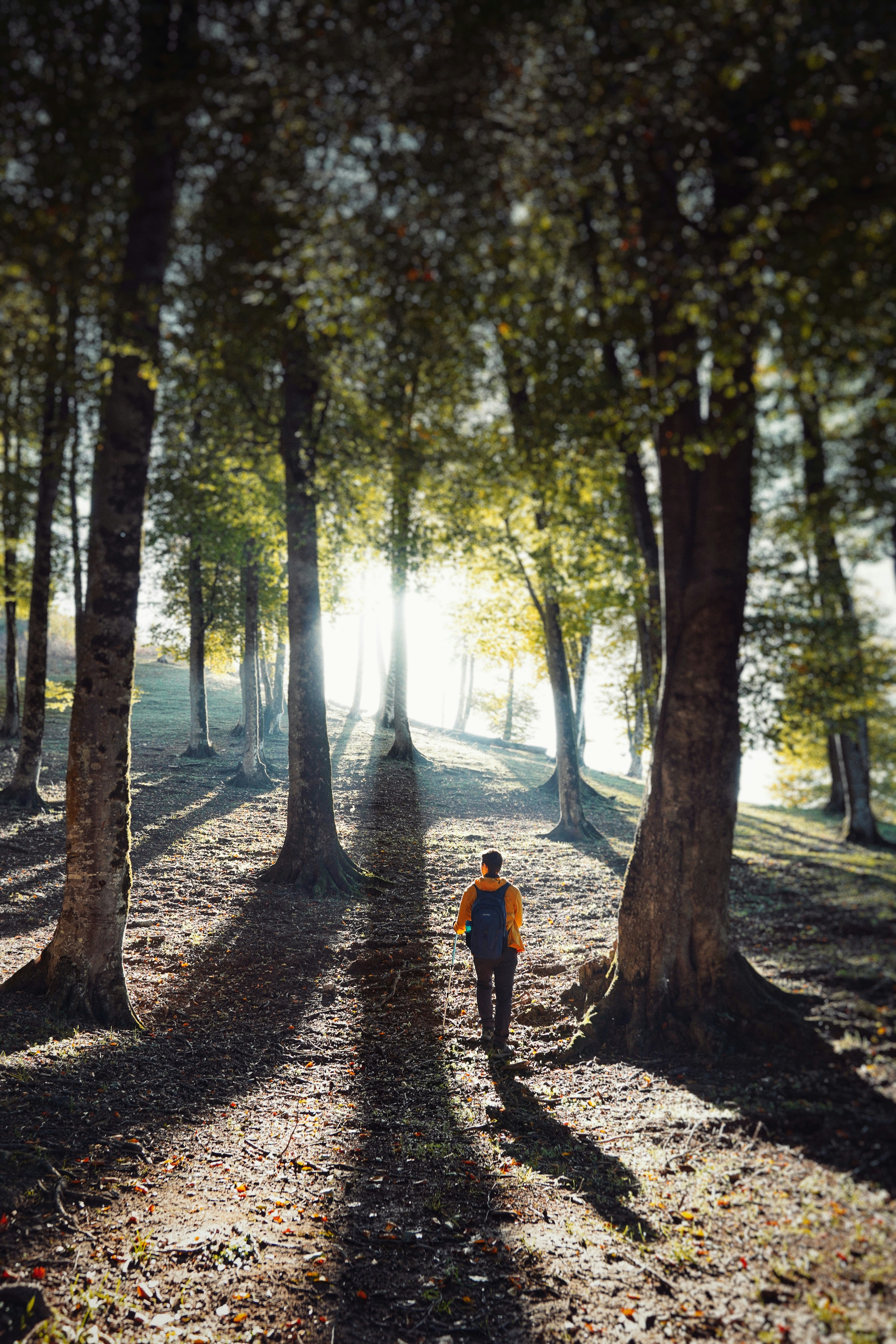 Photo by arman_salahshour