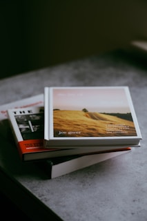 A stack of books is placed on a gray, textured surface. The top book features a cover depicting a scenic landscape with golden fields and a tree-lined path, while the book below shows a monochrome photograph of a person.