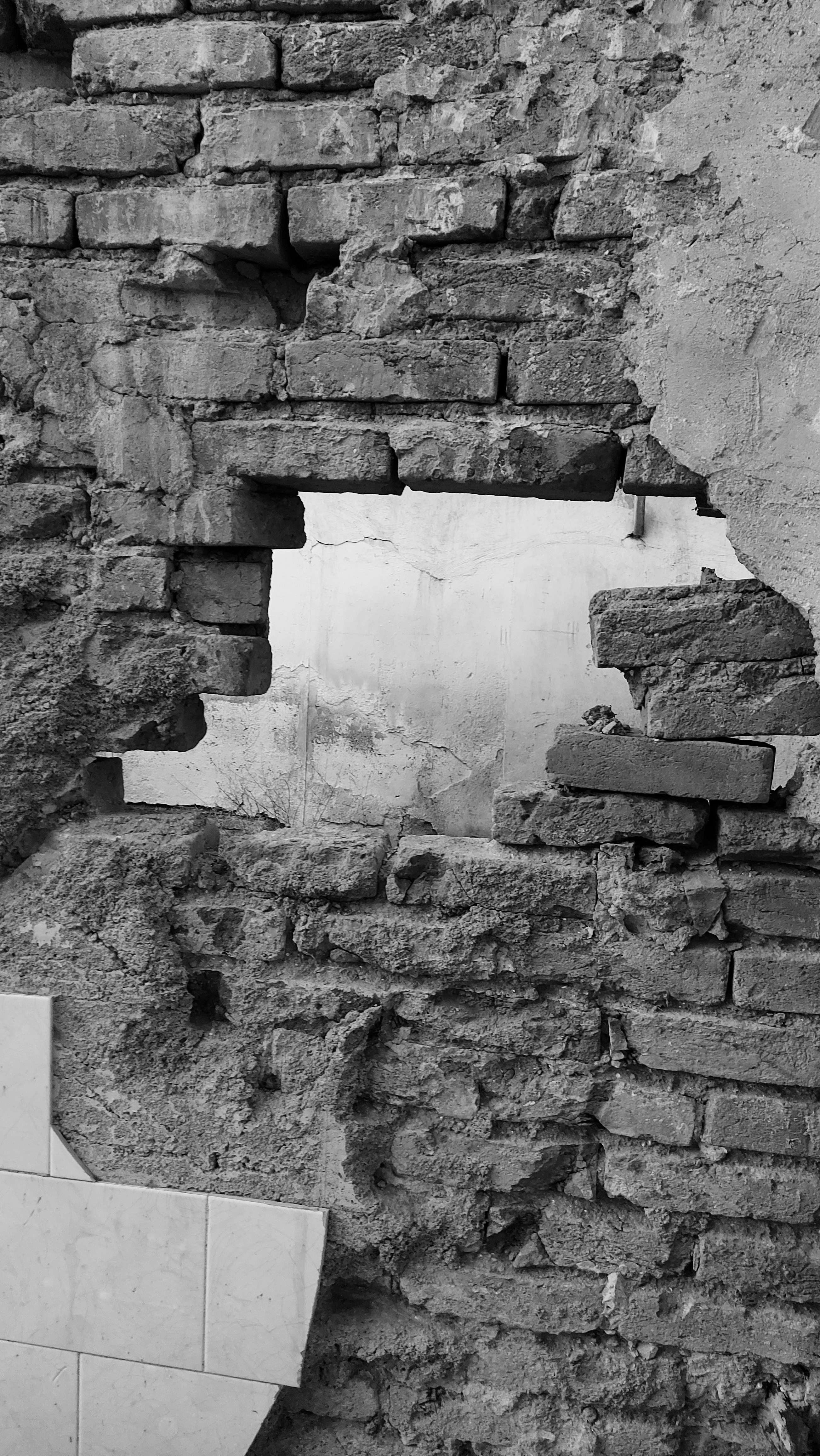 Photo by matin_azizi