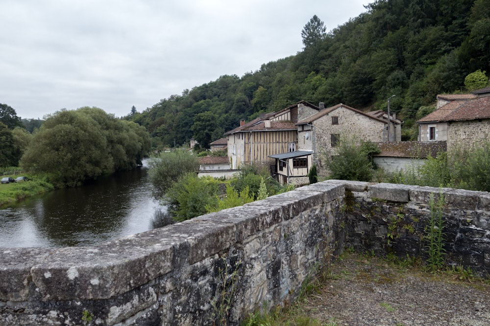 une rivière qui coule à travers une forêt verdoyante