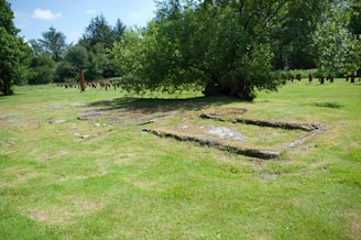A close-up shot of a marked plot boundary with a countryside backdrop.