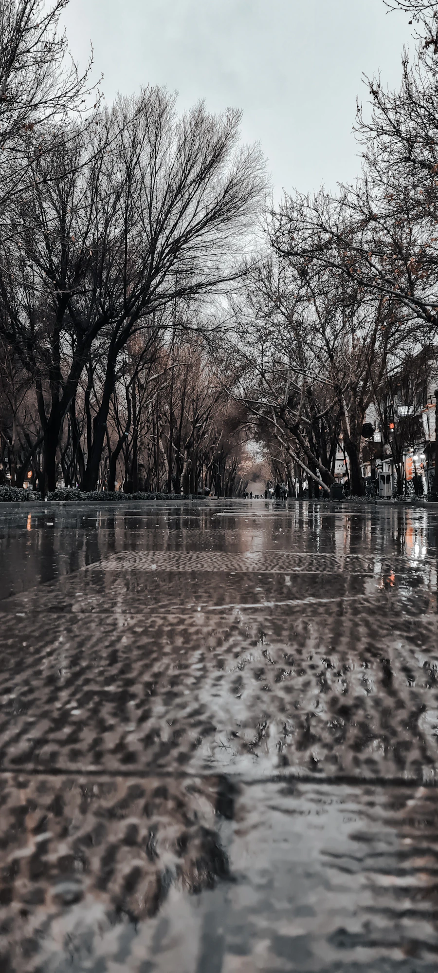 A flooded urban street