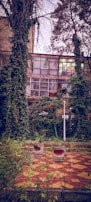 A vertical image of a building facade covered with glass windows, partially obscured by dense ivy and tall trees with numerous branches. The foreground features a tiled patio with a red and yellow geometric pattern, two round stone stools, and scattered green plants around. The scene appears calm and somewhat overgrown, with a mixture of architectural and natural elements.