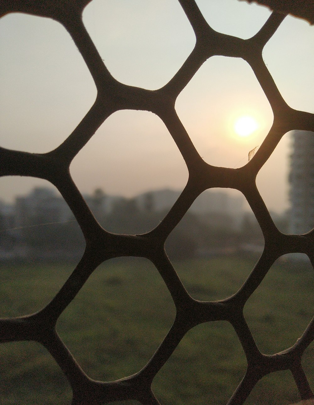 Una vista de un campo cubierto de hierba a través de una ventana